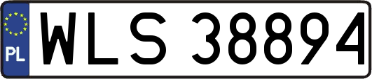 WLS38894