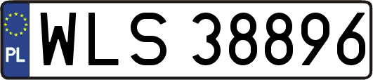 WLS38896