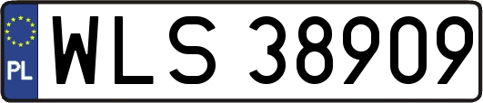 WLS38909