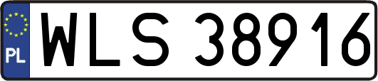 WLS38916