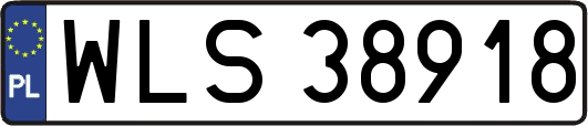 WLS38918