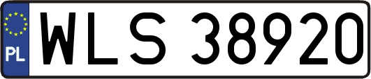 WLS38920