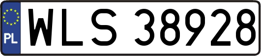 WLS38928