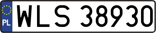 WLS38930
