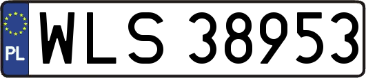 WLS38953