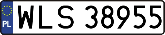 WLS38955