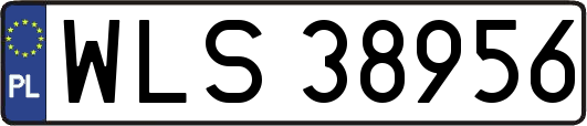 WLS38956