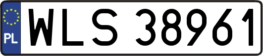 WLS38961