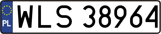WLS38964