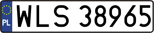 WLS38965