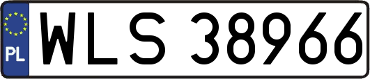 WLS38966