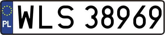 WLS38969