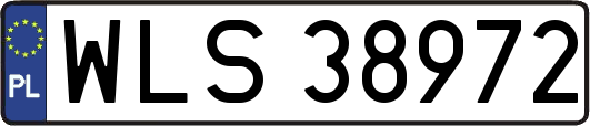 WLS38972
