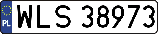 WLS38973