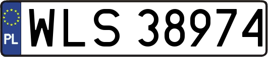WLS38974