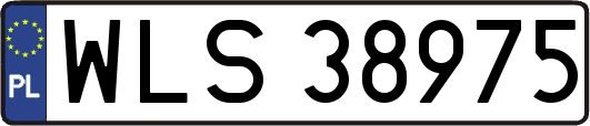 WLS38975