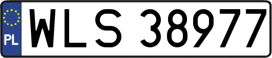 WLS38977