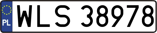 WLS38978