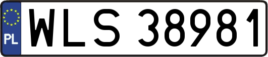 WLS38981