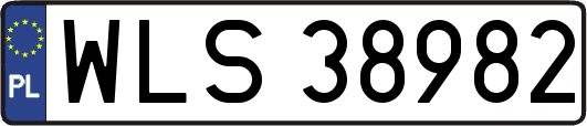 WLS38982