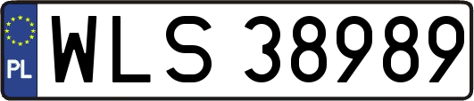 WLS38989