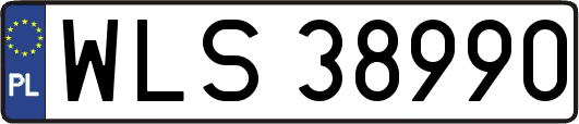 WLS38990