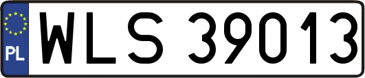 WLS39013