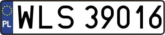 WLS39016