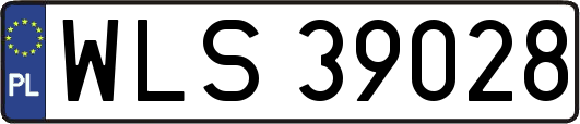 WLS39028