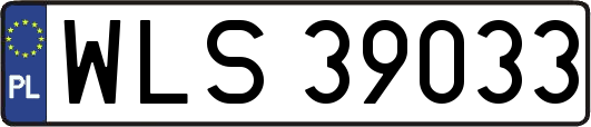 WLS39033