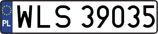 WLS39035