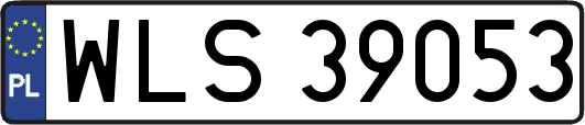 WLS39053