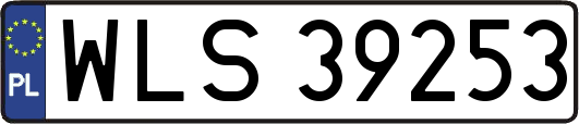 WLS39253