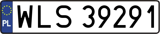 WLS39291
