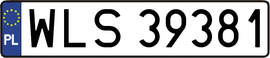 WLS39381