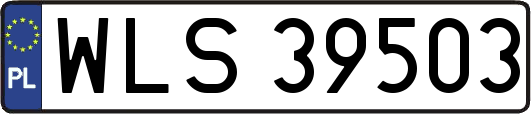 WLS39503