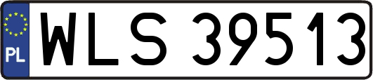 WLS39513