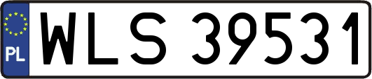 WLS39531