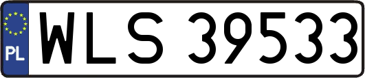 WLS39533