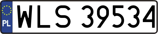 WLS39534