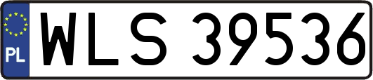 WLS39536