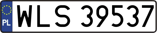 WLS39537