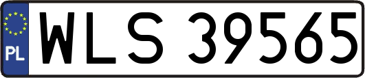 WLS39565