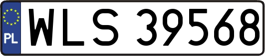 WLS39568