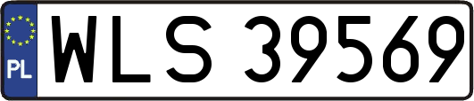 WLS39569