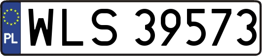 WLS39573