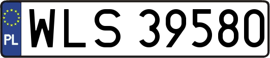 WLS39580