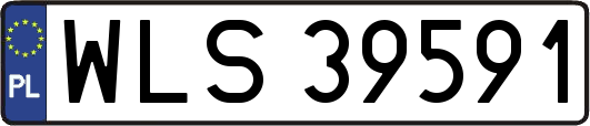 WLS39591