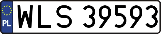 WLS39593