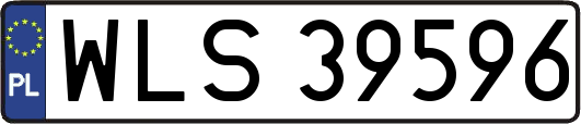 WLS39596